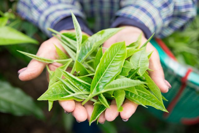 What Our Hands Hold, What Our Soul Gains